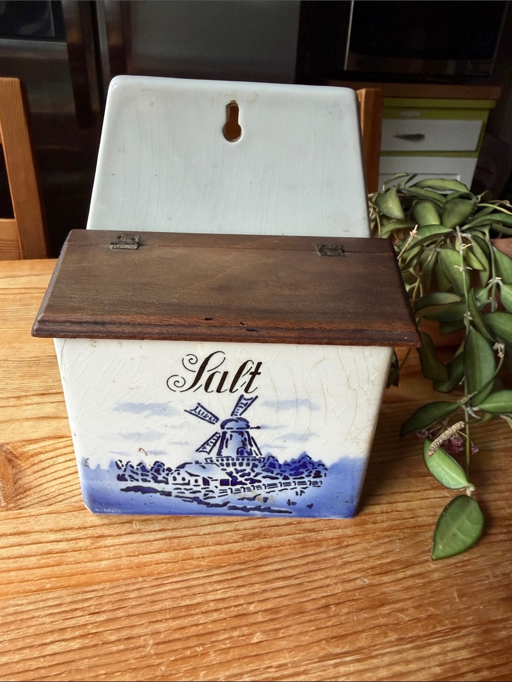 Vintage Ceramic Salt Box